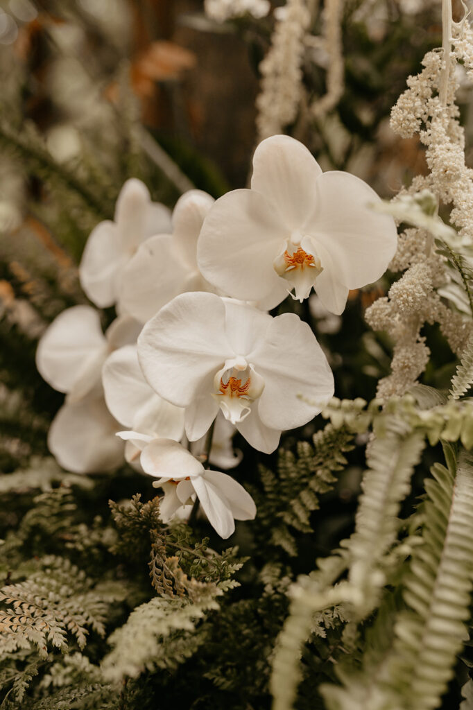 Two Woods Estate Wedding. Woodland wedding venue UK