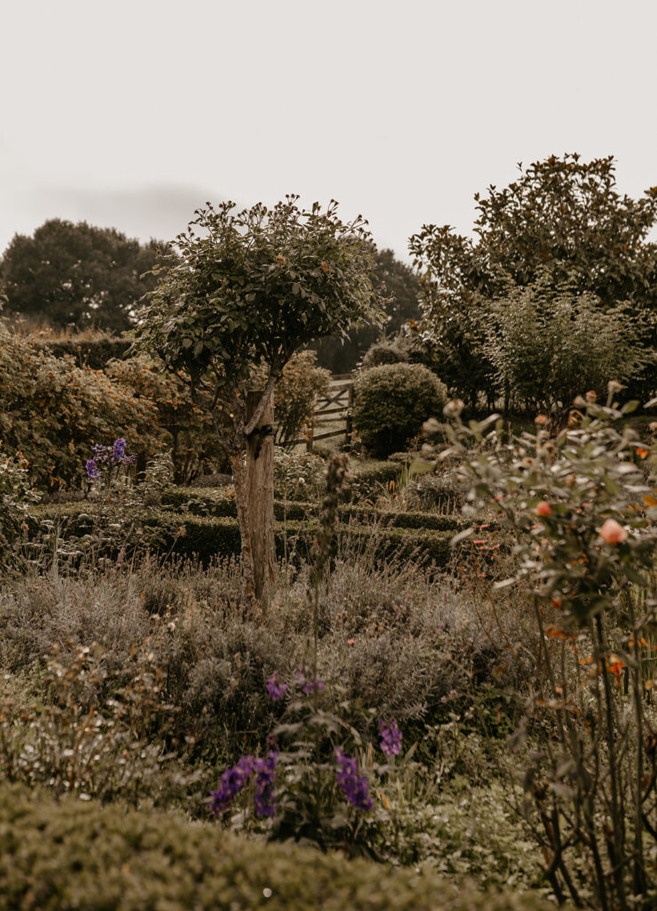 Gardens at Botley Hill Barn